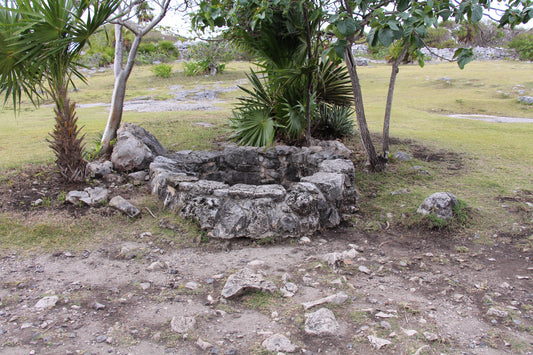 Mayan... Emerges from Under the Ruins of Tulum