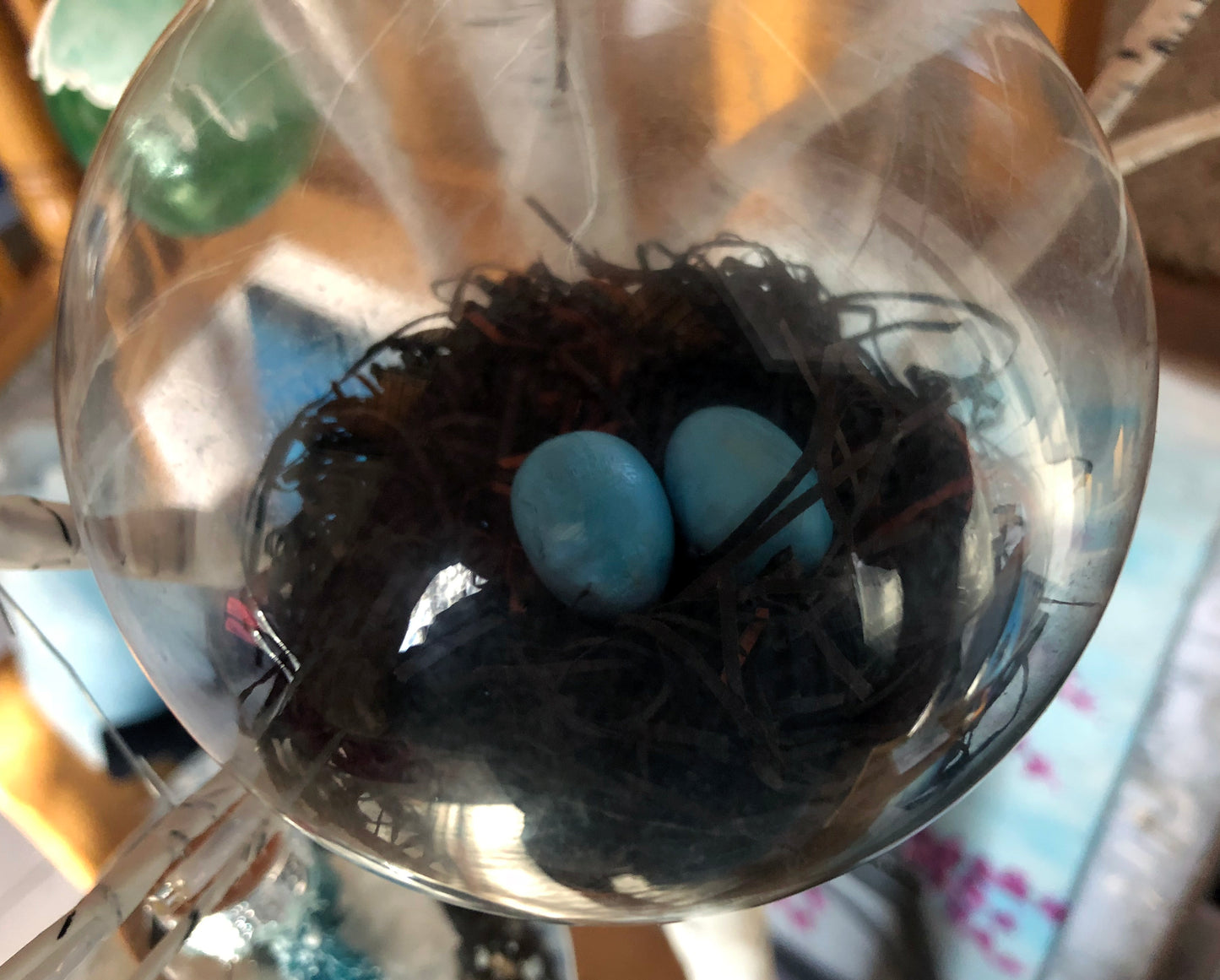Robins Nest
