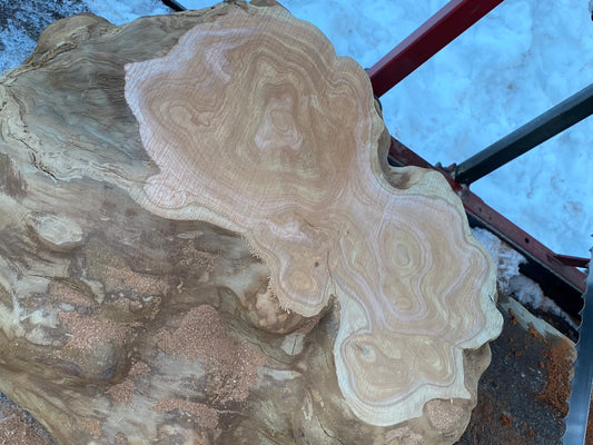 What to Build with the Burl...